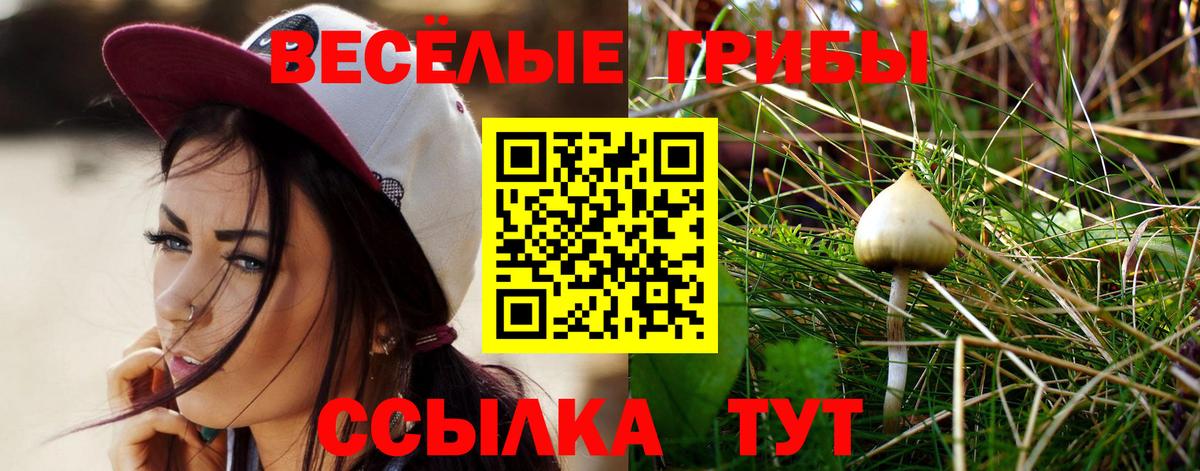 Псилоцибиновые грибы мухоморы Кимры